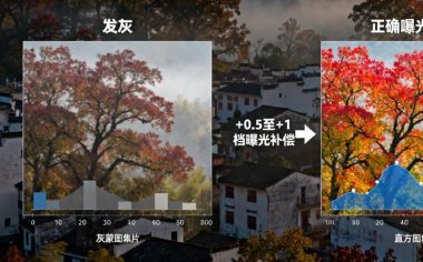曝光补偿陷阱：为什么你的红叶照片总“发灰”？婺源实拍数据揭秘