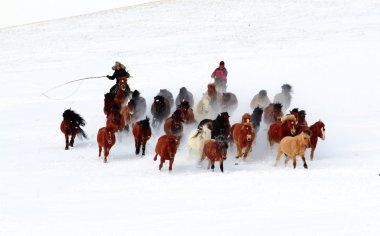 摄影党必存！冬季坝上跑马摄影实用指南，保暖穿搭+小众机位，新手也能拍出质感大片