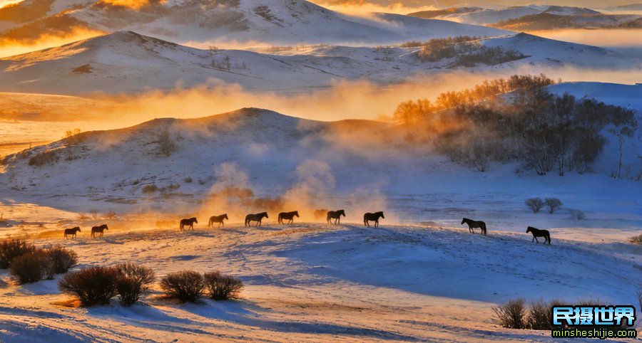 冬季坝上摄影团