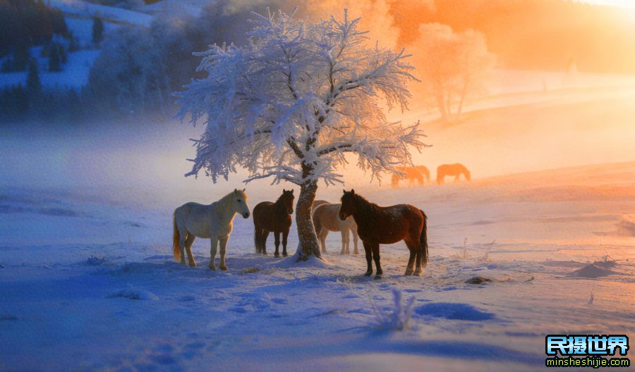 冬季坝上摄影团