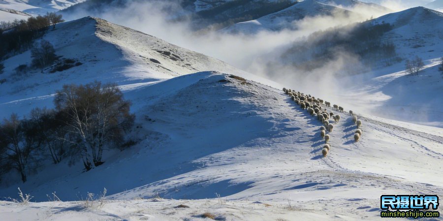 冬季坝上摄影团