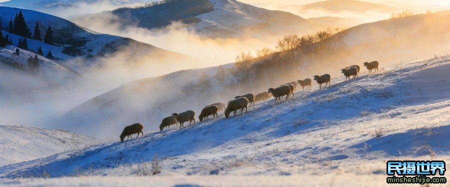 冬季坝上摄影团