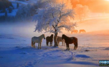 冬季坝上摄影技巧之 坝上摄影需要器材和坝上跑马拍摄参数设置技巧与攻略
