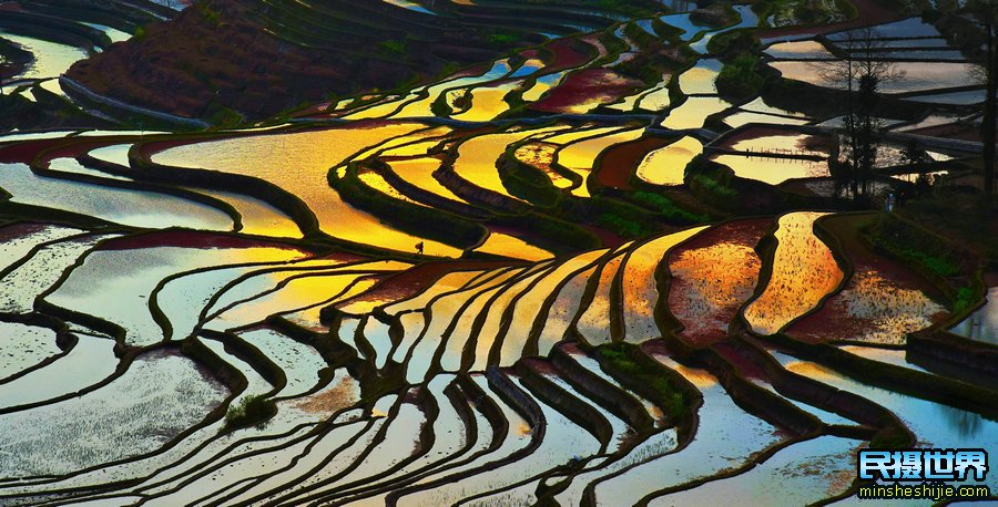 云南元阳梯田摄影